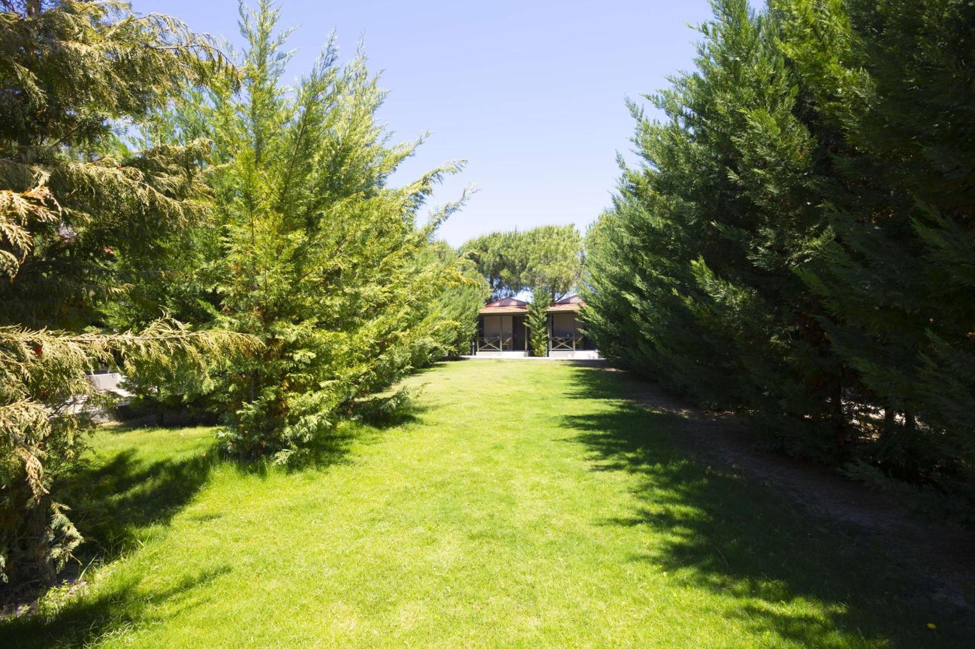 Aegean Apartments - Bungalows Алачати Номер фото